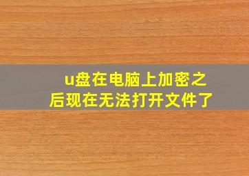 u盘在电脑上加密之后现在无法打开文件了