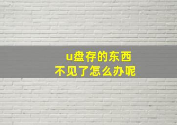 u盘存的东西不见了怎么办呢