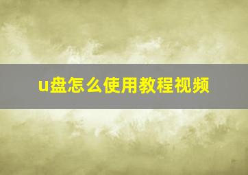 u盘怎么使用教程视频