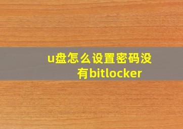 u盘怎么设置密码没有bitlocker