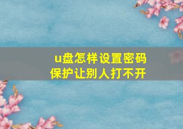 u盘怎样设置密码保护让别人打不开