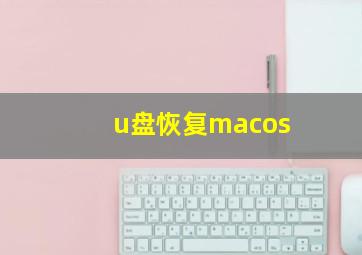 u盘恢复macos