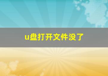 u盘打开文件没了