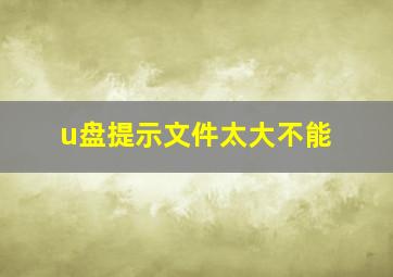 u盘提示文件太大不能