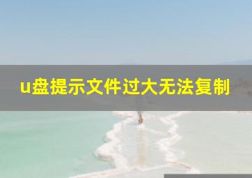 u盘提示文件过大无法复制