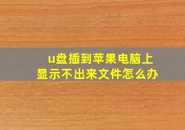 u盘插到苹果电脑上显示不出来文件怎么办