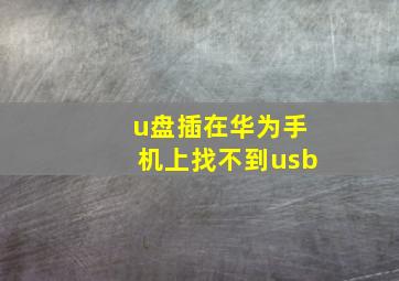 u盘插在华为手机上找不到usb