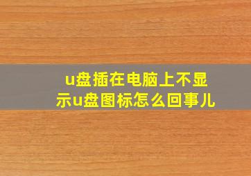 u盘插在电脑上不显示u盘图标怎么回事儿