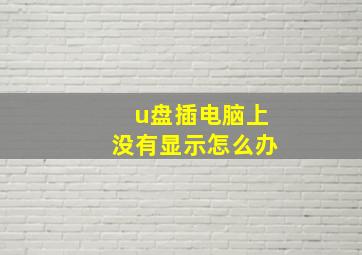 u盘插电脑上没有显示怎么办