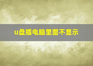 u盘插电脑里面不显示