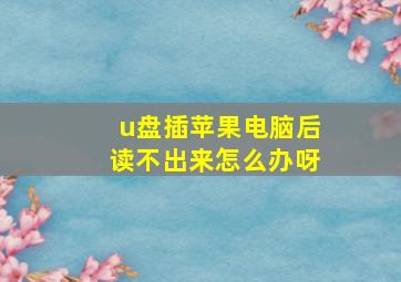 u盘插苹果电脑后读不出来怎么办呀