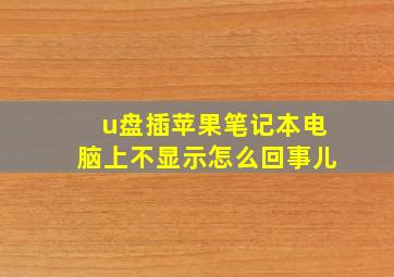 u盘插苹果笔记本电脑上不显示怎么回事儿