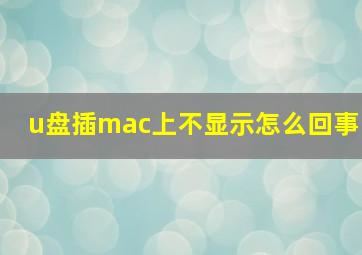 u盘插mac上不显示怎么回事