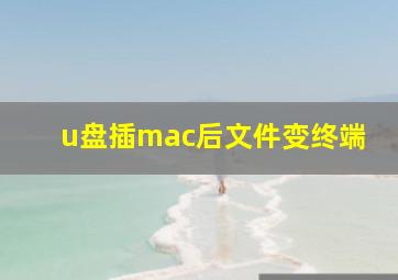 u盘插mac后文件变终端