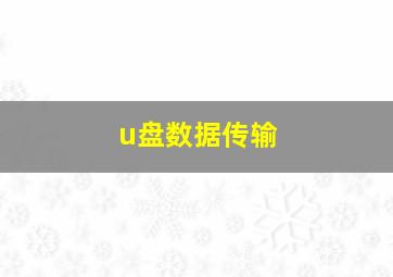 u盘数据传输