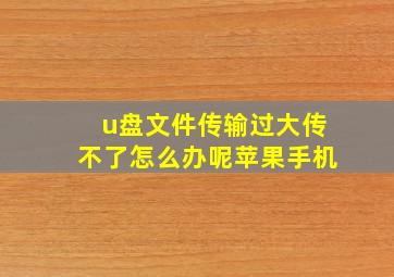 u盘文件传输过大传不了怎么办呢苹果手机