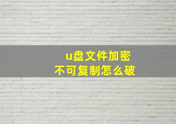 u盘文件加密不可复制怎么破