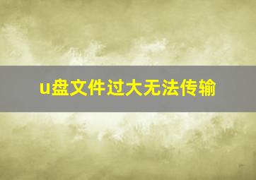 u盘文件过大无法传输