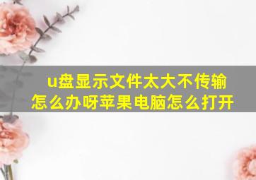 u盘显示文件太大不传输怎么办呀苹果电脑怎么打开