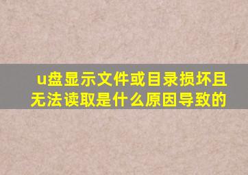 u盘显示文件或目录损坏且无法读取是什么原因导致的