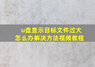 u盘显示目标文件过大怎么办解决方法视频教程