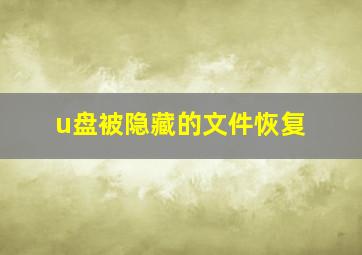 u盘被隐藏的文件恢复