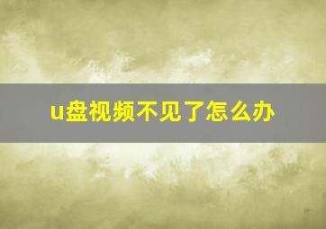 u盘视频不见了怎么办