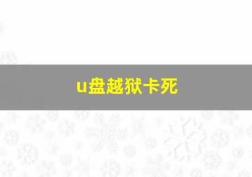 u盘越狱卡死