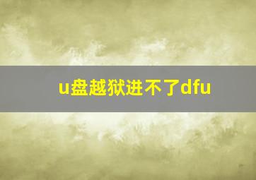 u盘越狱进不了dfu