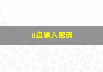 u盘输入密码