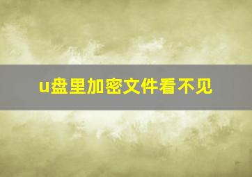 u盘里加密文件看不见