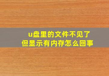 u盘里的文件不见了但显示有内存怎么回事