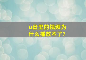 u盘里的视频为什么播放不了?