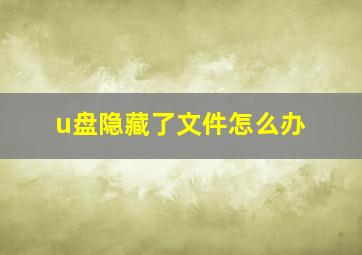 u盘隐藏了文件怎么办