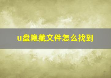 u盘隐藏文件怎么找到