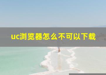 uc浏览器怎么不可以下载