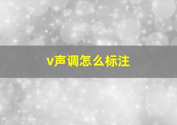 v声调怎么标注