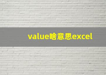 value啥意思excel