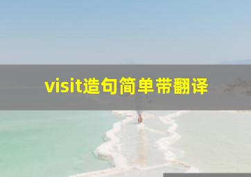 visit造句简单带翻译