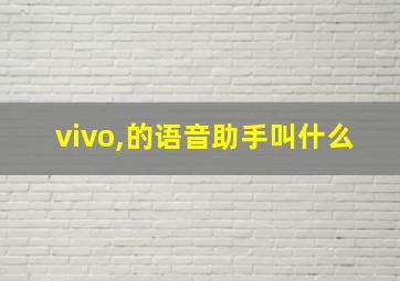 vivo,的语音助手叫什么