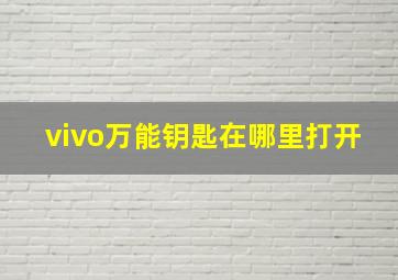 vivo万能钥匙在哪里打开