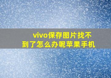 vivo保存图片找不到了怎么办呢苹果手机