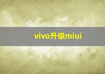 vivo升级miui