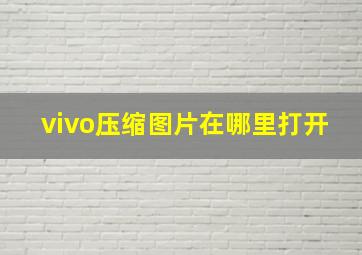 vivo压缩图片在哪里打开