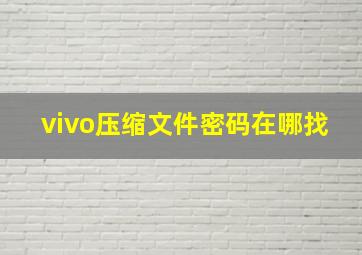 vivo压缩文件密码在哪找