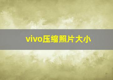 vivo压缩照片大小