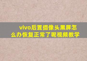 vivo后置摄像头黑屏怎么办恢复正常了呢视频教学