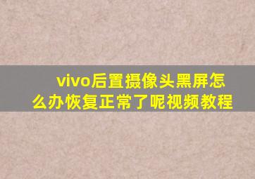 vivo后置摄像头黑屏怎么办恢复正常了呢视频教程