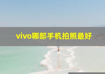 vivo哪部手机拍照最好