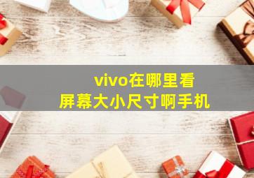 vivo在哪里看屏幕大小尺寸啊手机